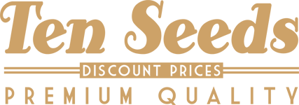 Ten Seeds - Discount prices, premium quality Ten Seeds - Discount prices, premium quality